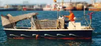 Barche da lavoro in vendita