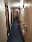 Portacontainer in vendita