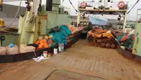 Peschereccio a strascico in vendita