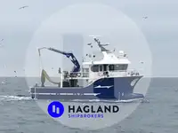Barche da lavoro in vendita