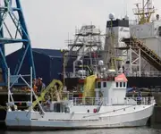 Portacontainer in vendita