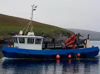 Barche da lavoro in vendita