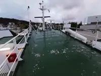 Trasportatore di merci sfuse in vendita