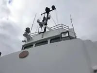 Imbarcazioni da lavoro in vendita