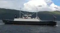 Nave Ro-Ro in vendita