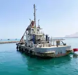 Barche da lavoro in vendita