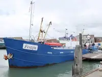 Chiatta in vendita