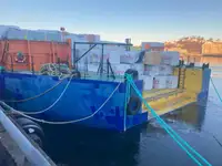 Chiatta in vendita