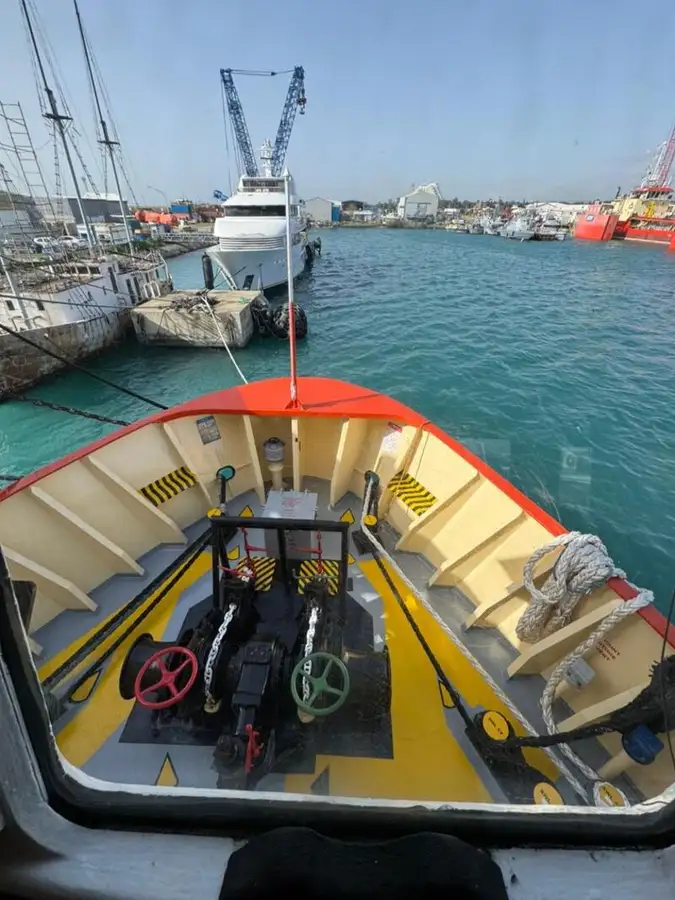 Portacontainer in vendita