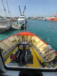 Portacontainer in vendita