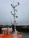 Rimorchiatore in vendita