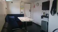 Trasportatore di merci sfuse in vendita