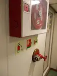 Trasportatore di merci sfuse in vendita
