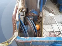 Trasportatore di pesce vivo in vendita
