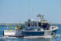 Purse seiner in vendita