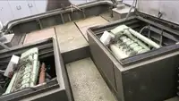 Rimorchiatore in vendita