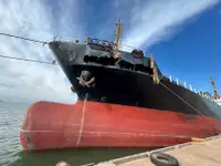 Portarinfuse in vendita
