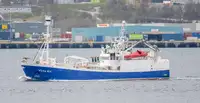 Purse seiner in vendita