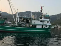 Peschereccio a circuizione in vendita