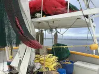 Peschereccio a strascico in vendita