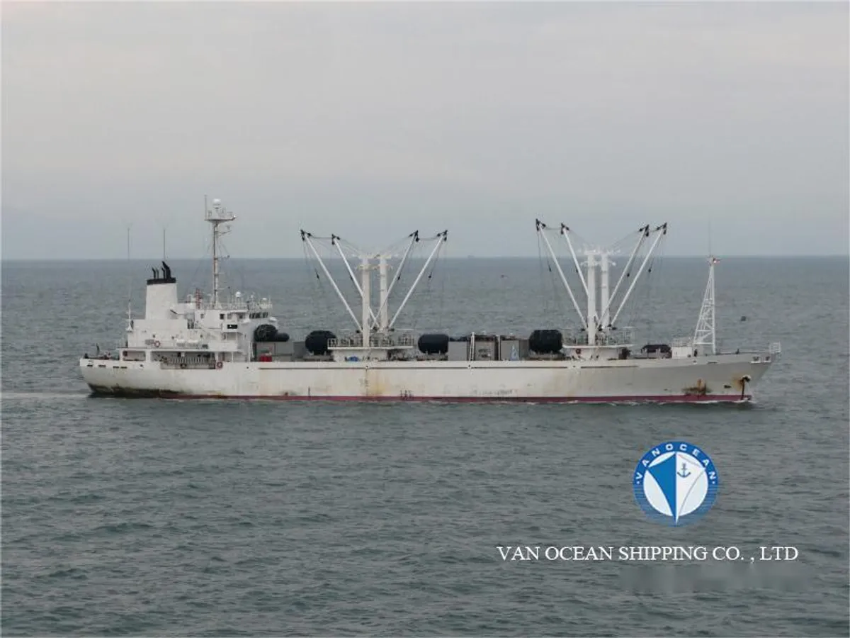 Nave refrigerata in vendita