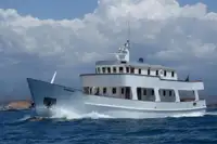 Nave da crociera in vendita