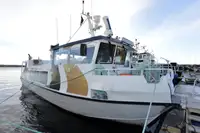 Nave da crociera in vendita
