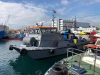 Catamarano in vendita