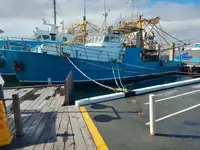 Trawler in vendita