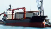 Portarinfuse in vendita