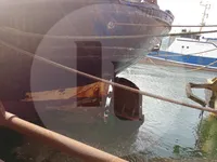 Altro in vendita