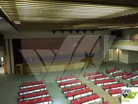 Nave da crociera in vendita