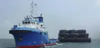 Rimorchiatore in vendita