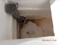 Peschereccio a circuizione in vendita