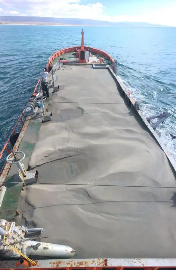 Portacontainer in vendita