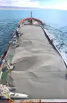 Portacontainer in vendita