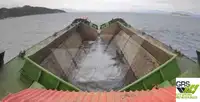 Chiatta in vendita