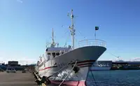 Nave da rilevamento in vendita
