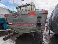 Imbarcazioni da lavoro in vendita