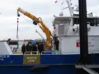 Catamarano in vendita