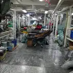Peschereccio a circuizione in vendita