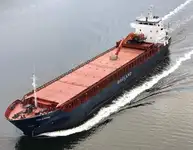 Trasportatore di merci sfuse in vendita