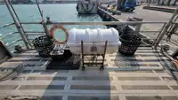 Portacontainer in vendita