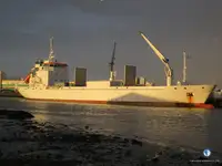 Nave reefer in vendita