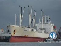 Nave refrigerata in vendita