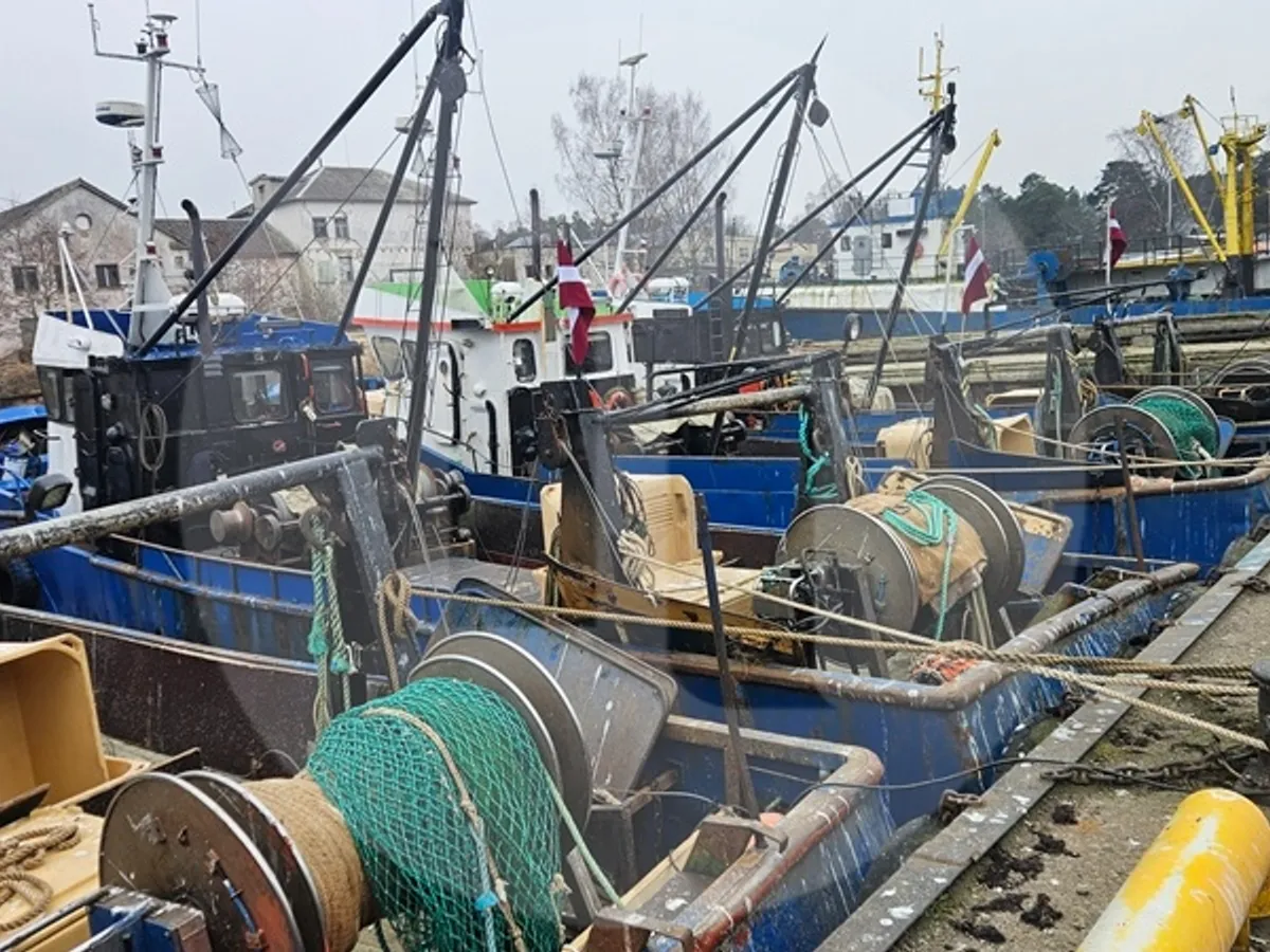 Trasportatore di pesce vivo in vendita