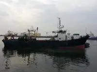 Trawler in vendita