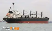 Trasportatore di merci sfuse in vendita