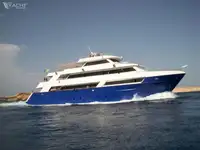 Supporto per le immersioni in vendita