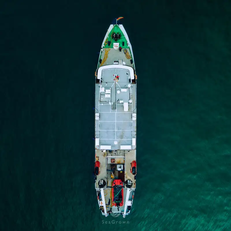 Nave da rilevamento in vendita